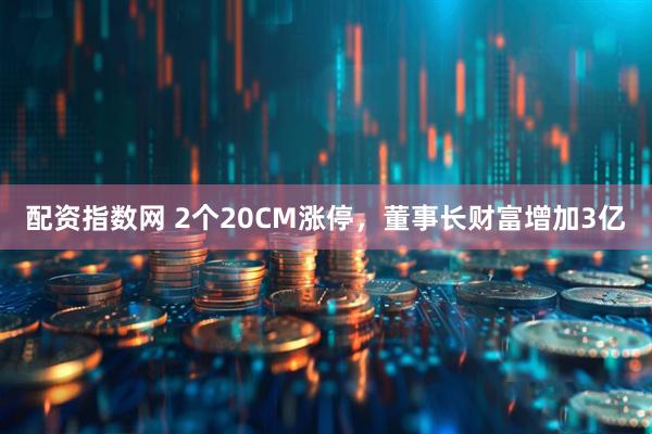 配资指数网 2个20CM涨停，董事长财富增加3亿