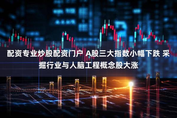 配资专业炒股配资门户 A股三大指数小幅下跌 采掘行业与人脑工程概念股大涨