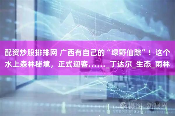 配资炒股排排网 广西有自己的“绿野仙踪”！这个水上森林秘境，正式迎客……_丁达尔_生态_雨林